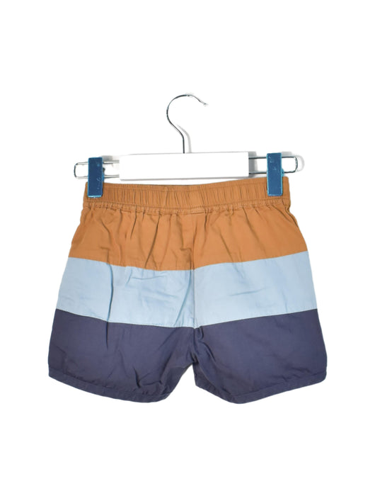 A Blue Shorts from Seed in size 4T for boy. (Back View)