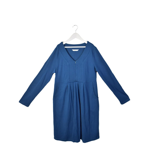 A Blue Long Sleeve Dresses from Spring in size M for maternity. (Front View)