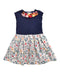 A Multicolour Sleeveless Dresses from Gingersnaps in size 6T for girl. (Front View)