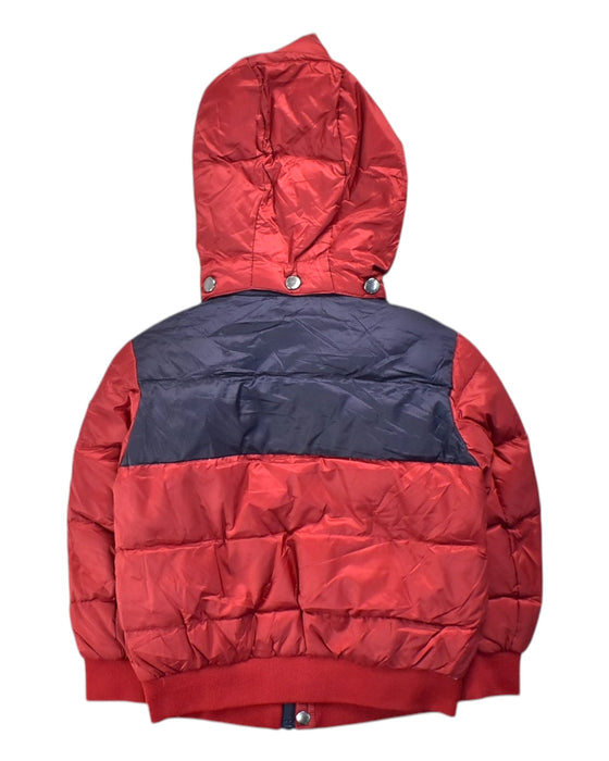 A Red Puffer/Quilted Jackets from Emporio Armani in size 4T for neutral. (Back View)