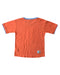 A Orange Short Sleeve T Shirts from Peter Rabbit in size 6T for boy. (Back View)