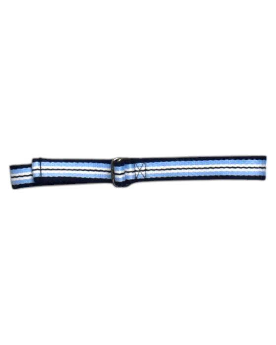 A Blue Belts from Polo Ralph Lauren in size 4T for boy. (Front View)