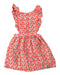 A Multicolour Sleeveless Dresses from Chateau de Sable in size 4T for girl. (Front View)