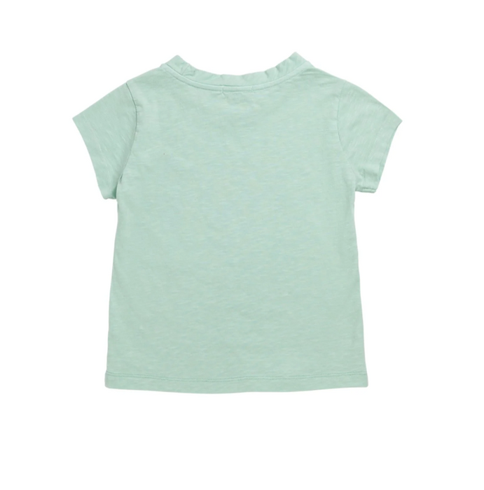 A Green Short Sleeve T Shirts from Bonpoint in size 6T for boy. (Back View)