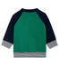 A Green Sweatshirts from Petit Bateau in size 3T for boy. (Back View)