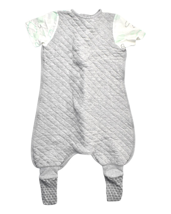 A Grey Onesies from Love To Dream in size 2T for neutral. (Back View)