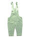 A Green Long Overalls from Le Petit Society in size 2T for neutral. (Front View)