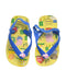 A Multicolour Flip Flops from Havaianas in size 18-24M for boy. (Back View)