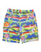 A Multicolour Shorts from Polo Ralph Lauren in size 5T for boy. (Back View)