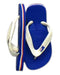 A Multicolour Flip Flops from Havaianas in size 4T for neutral. (Front View)