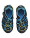 A Multicolour Sandals from pediped in size 3T for boy. (Back View)