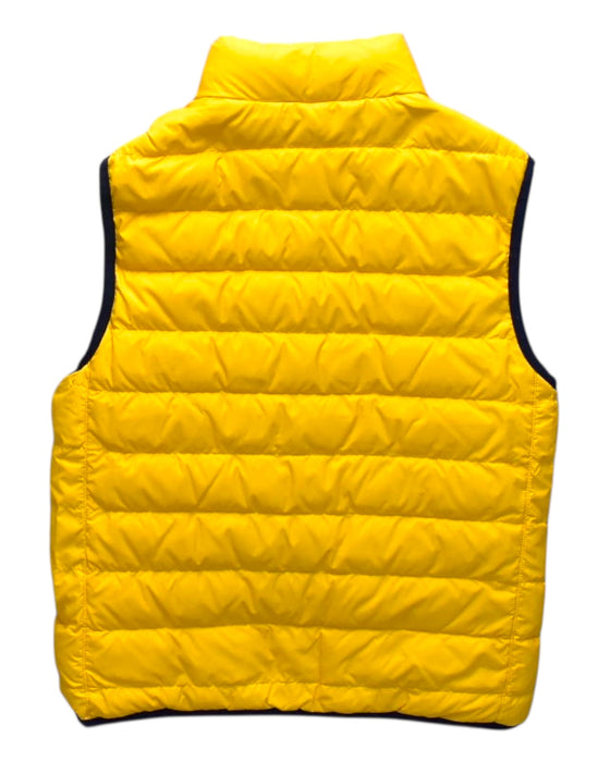 A Multicolour Outerwear Vests from Polo Ralph Lauren in size 8Y for boy. (Back View)