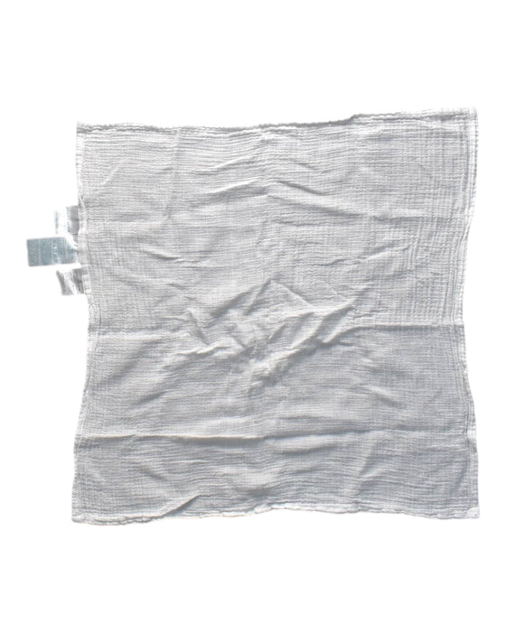 A Transparent Swaddles from Aden & Anais in size O/S for neutral. (Front View)