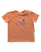 A Orange Short Sleeve T Shirts from Sea Apple in size 2T for boy. (Front View)