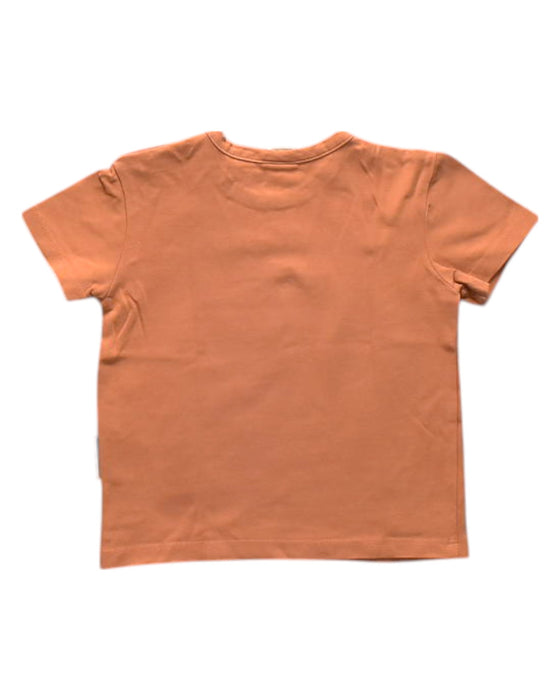 A Orange Short Sleeve T Shirts from Sea Apple in size 2T for boy. (Back View)