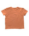 A Orange Short Sleeve T Shirts from Sea Apple in size 2T for boy. (Back View)