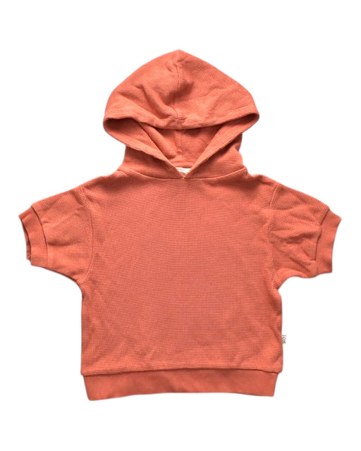 A Orange Hooded Sweatshirts from House of Jamie in size 18-24M for neutral. (Front View)