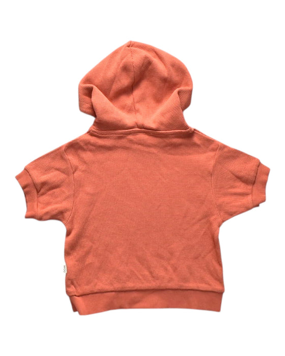 A Orange Hooded Sweatshirts from House of Jamie in size 18-24M for neutral. (Back View)