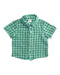 A Green Short Sleeve Shirts from Seed in size 12-18M for boy. (Front View)