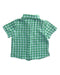 A Green Short Sleeve Shirts from Seed in size 12-18M for boy. (Back View)