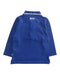 A Blue Long Sleeve Polos from Hugo Boss in size 2T for boy. (Back View)