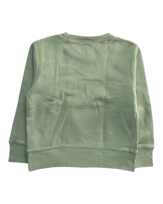 A Green Crewneck Sweatshirts from Crewcuts in size 4T for boy. (Back View)