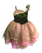 A Multicolour Halloween Costumes from Revolution Dancewear in size 10Y for girl. (Front View)