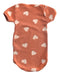 A Orange Short Sleeve Bodysuits from Petit Bateau in size 12-18M for girl. (Back View)