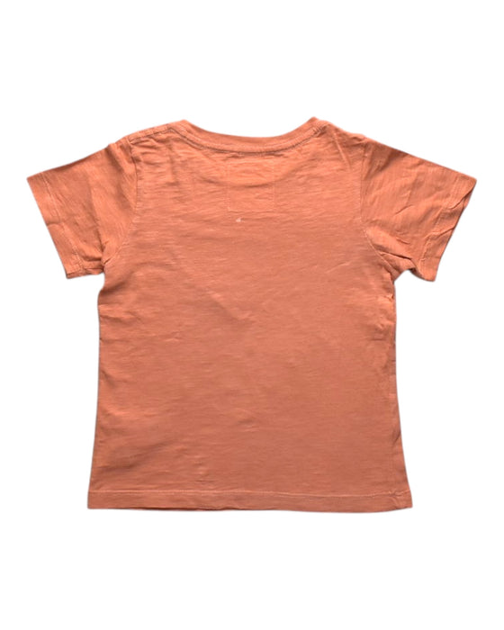 A Orange Short Sleeve T Shirts from Gingersnaps in size 6T for boy. (Back View)