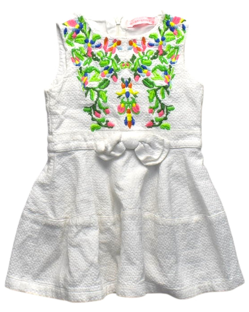 A Multicolour Sleeveless Dresses from Gingersnaps in size 4T for girl. (Front View)