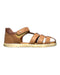 A Brown Sandals from Bobux in size 5T for boy. (Front View)