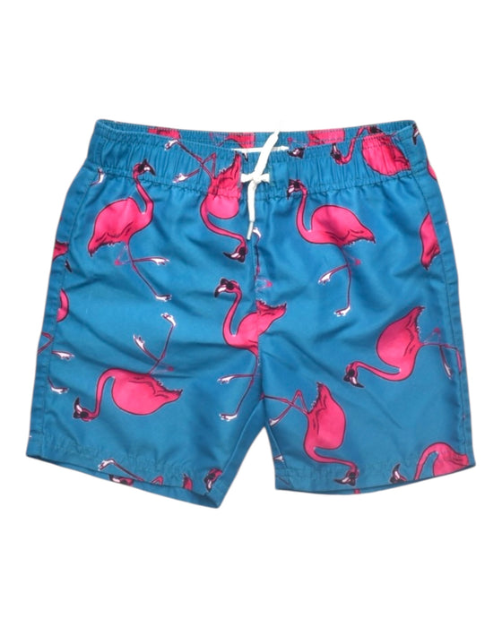 A Blue Swim Shorts from Appaman in size 4T for boy. (Front View)