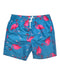 A Blue Swim Shorts from Appaman in size 4T for boy. (Front View)