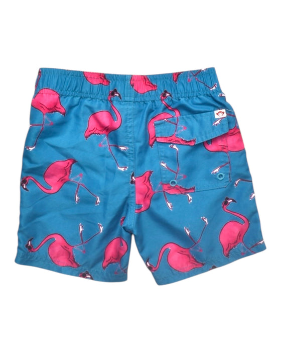 A Blue Swim Shorts from Appaman in size 4T for boy. (Back View)