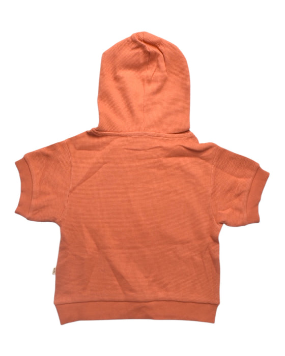 A Orange Hooded Sweatshirts from House of Jamie in size 2T for boy. (Front View)