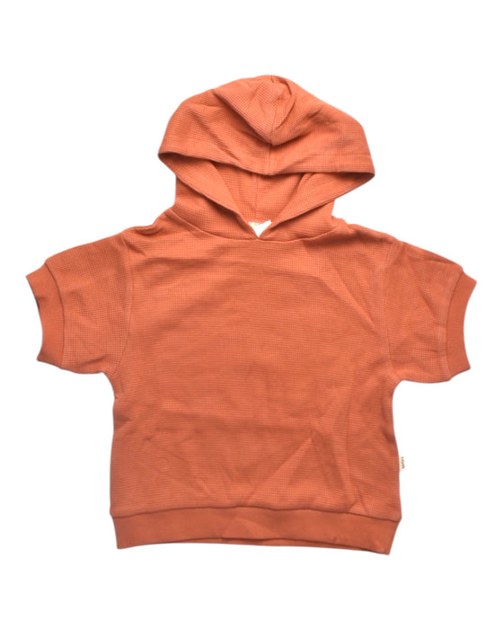 A Orange Hooded Sweatshirts from House of Jamie in size 2T for boy. (Back View)