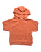A Orange Hooded Sweatshirts from House of Jamie in size 2T for boy. (Back View)