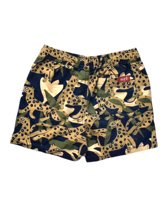 A Multicolour Shorts from Seed in size 4T for boy. (Back View)