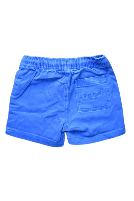 A Blue Shorts from Seed in size 2T for boy. (Back View)