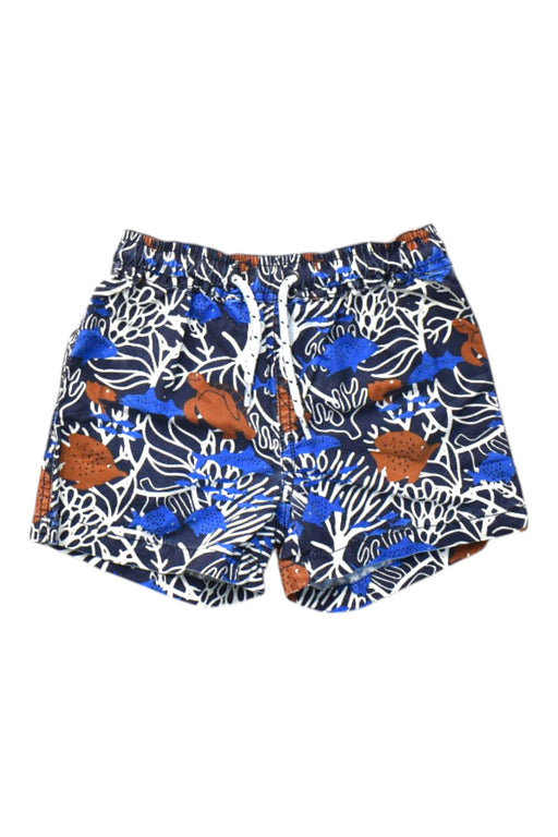 A Multicolour Shorts from Seed in size 2T for boy. (Front View)