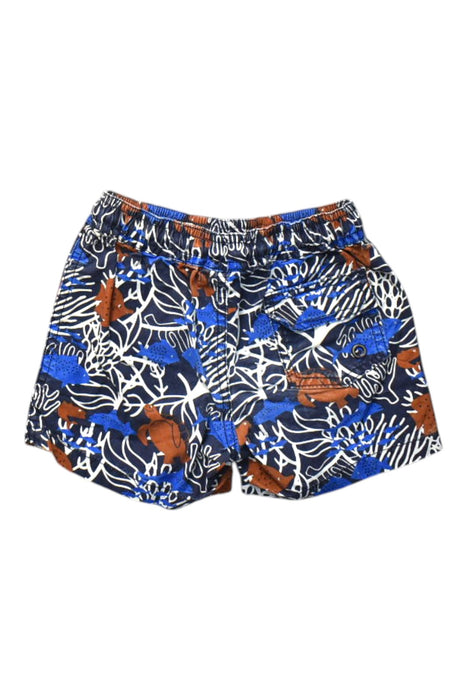 A Multicolour Shorts from Seed in size 2T for boy. (Back View)