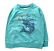 A Green Crewneck Sweatshirts from La Compagnie des Petits in size 3T for boy. (Front View)
