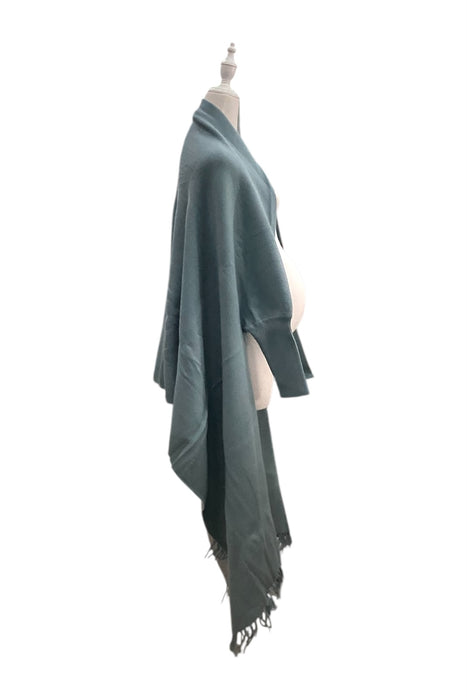 A Teal Scarves from Seraphine in size O/S for maternity. (Back View)
