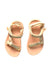 A Multicolour Sandals from Teva in size 5T for girl. (Back View)