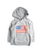 A Grey Hooded Sweatshirts from Polo Ralph Lauren in size 4T for boy. (Front View)