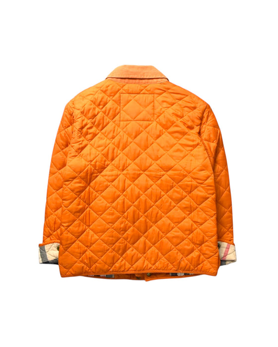A Orange Puffer/Quilted Jackets from Burberry in size 6T for boy. (Back View)