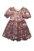 A Pink Short Sleeve Dresses from Seed in size 4T for girl. (Front View)