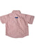 A Pink Short Sleeve Shirts from Harmont & Blaine in size 12-18M for boy. (Back View)