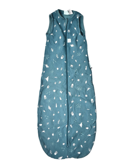 A Teal Sleepsacs from ErgoPouch in size 6-12M for boy. (Front View)