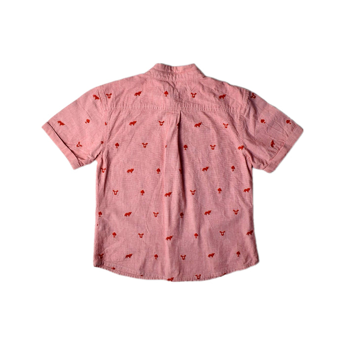 A Pink Short Sleeve Shirts from Chateau de Sable in size 4T for boy. (Back View)
